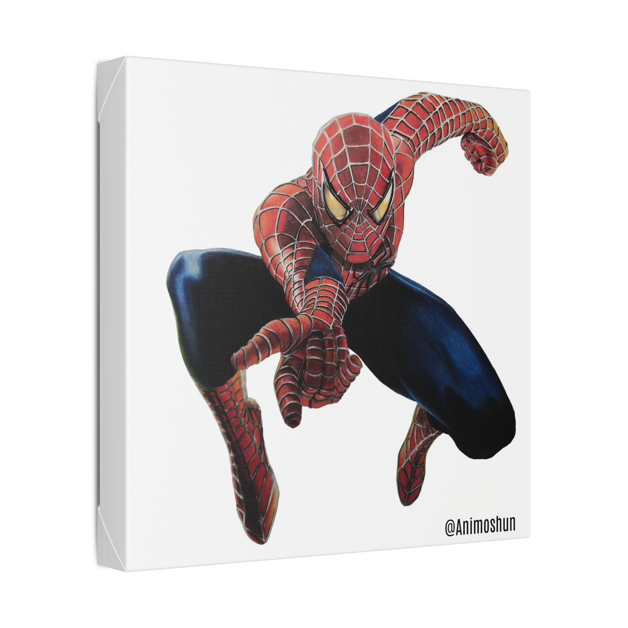 Spider-Man Canvas